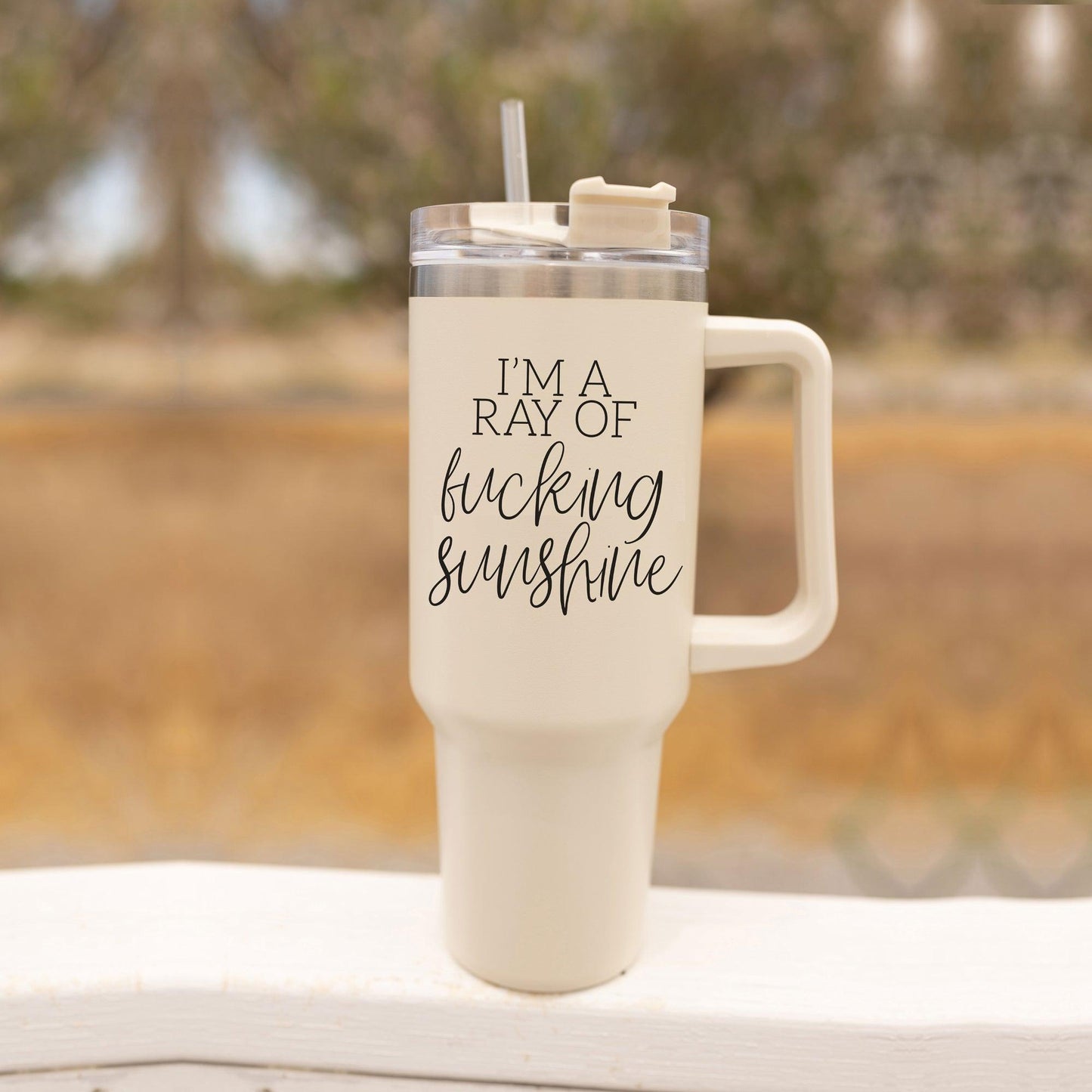 Ray Of Sunshine 40oz Insulated Tumbler With Handle Lid Straw Travel Mug by Cerise Thalassa